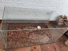 Terrarium für Schildkröten mit ges. Zubehör (H 30cm-L 60cm-B 30cm)