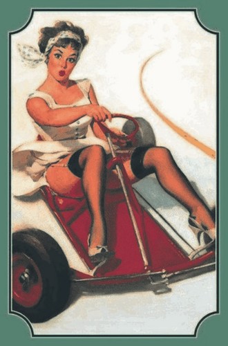 Blechschild 20x30 pin girl - blechschild,