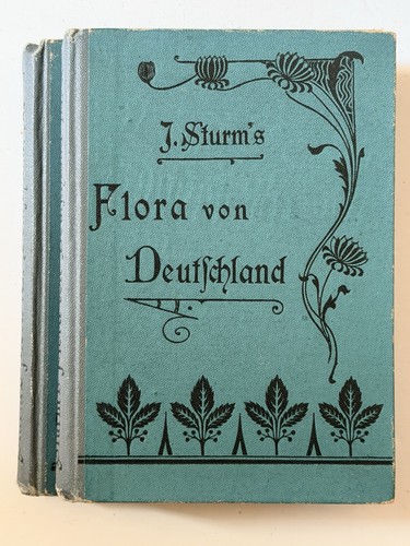Sturms flora von - flora,