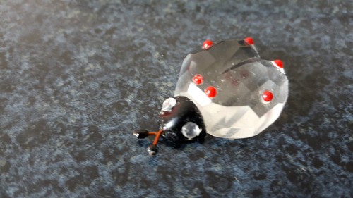 Marienkäfer klein glas - klein,