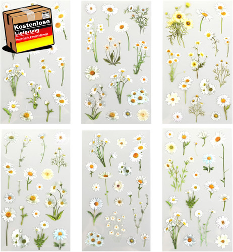 Gänseblümchen sticker blumen - gänseblümchen,