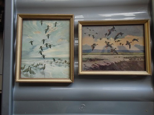 Peter scott passendes paar - passendes,