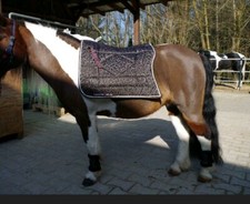 %%%Pony Schabracke Dressur Barock spanisch Antikschabracke floral braun