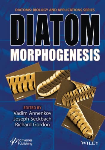 Diatom morphogenesis - diatom,