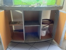 aquarium 300l mit Deko