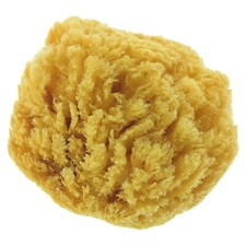 Naturschwamm, naturgewachsen