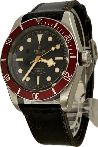 Tudor black bay - bay, heritage