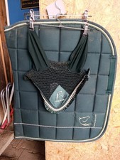 Cheval de Luxe Schabracke & Fliegenhaube WB DR