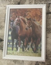 Überlaufbild mit Pferden