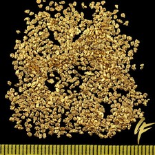 Echte Goldnuggets 