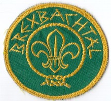 Orginal Abzeichen Pfadfinder Lager Brexbachtal 80er Jahre Grün Gelb BREX f. Hemd