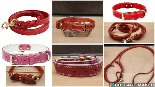 Hundehalsband hundeleine aus - hundehalsband,