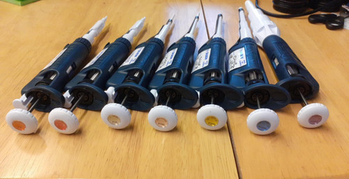 Gilson pipetman pippeten - pipetman, set