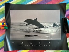 Poster Talbot Delfin Rosa Schwarz Im Meer 61x46cm