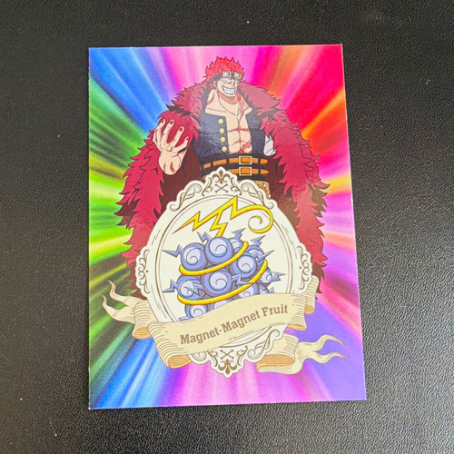 Panini one piece - panini,