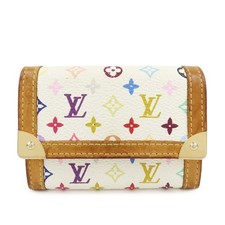 Louis Vuitton Multicolor Porte