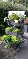 Blumenkastenhalter