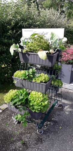 Blumenkastenhalter