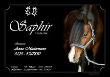 individuelles Boxenschild