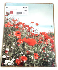 Pack of 2 Ikea BILD Poster