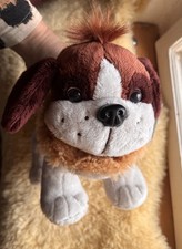 JOSEF Bernhardiner Hund