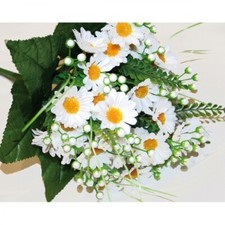 Blumenstrauß margeriten - margeriten, xl
