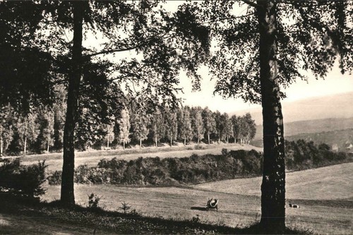 Heilbad heiligenstadt - heilbad,