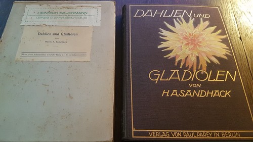 Herm sandhack dahlien - a.,