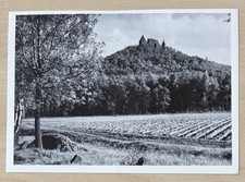 Ansichtskarte Die Gröditzburg