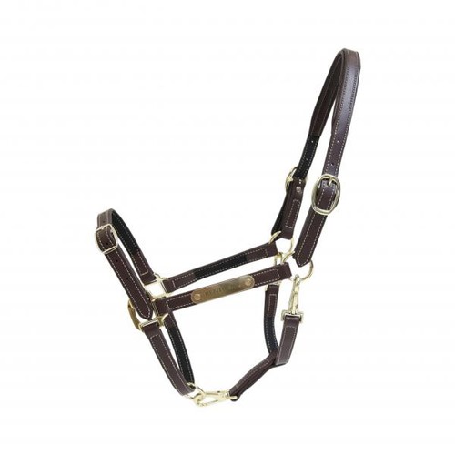 Lederhalfter flexible - lederhalfter,