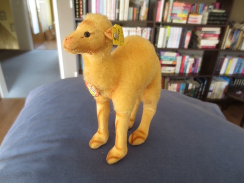 Steiff dromedar cm hoch - steiff, ca.