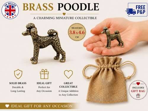 Miniatur messing pudel hund - pudel,