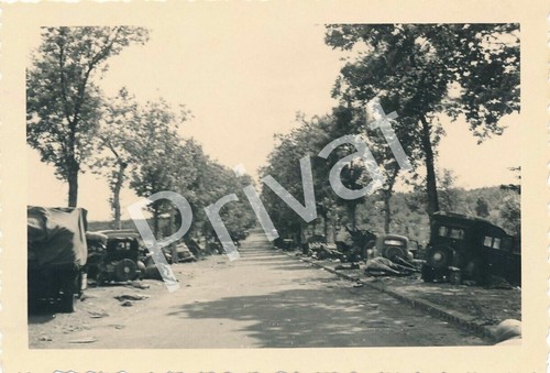 Foto wkii allee - foto,