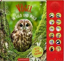Vögel feld und wald - in, wald: