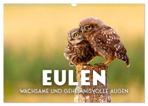 Eulen wachsame und - eulen,