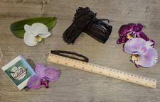 SALE! 25 Vanilleschoten aus