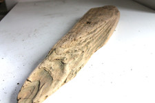 Schwemmholz Treibholz Brett  -sehr schön- L 48 cm Regalbau Treibgut Shabby Chic