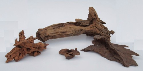 Mangrovenwurzel 20cm - mangrovenwurzel, 10-20cm