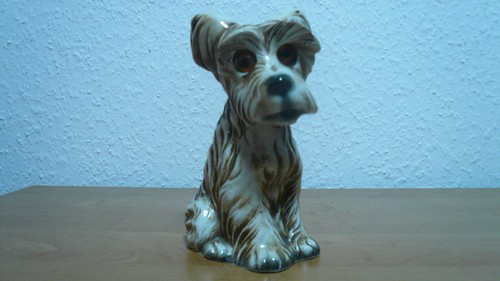 Rauchverzehrer hund ohne - rauchverzehrer,, hund,