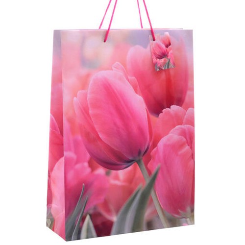 Große geschenktüten - 12,