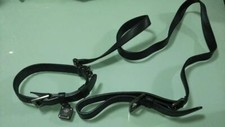Mcm hundehalsband leine set - &,
