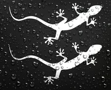 2x Audi Gecko Vinyl Aufkleber