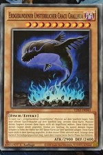 Yu-Gi-Oh Erdgebundener