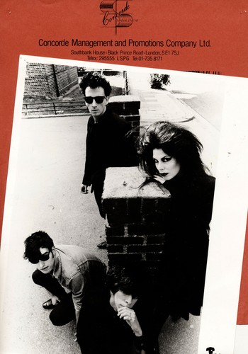 Fur bible 1980s - 1980s,