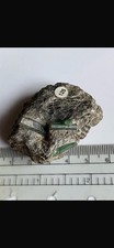 Seltene klare smaragd - smaragd, x