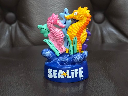 Sea life seepferdchen figur - life,