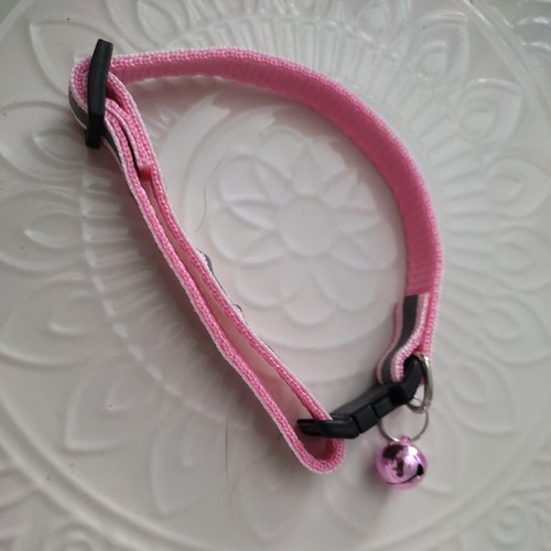Katzen kleine hunde - katzen, halsband