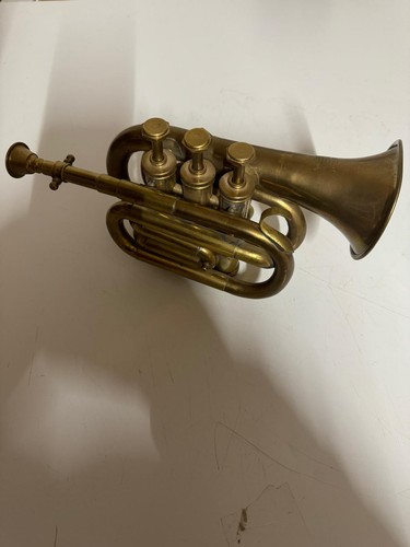 Taschentrompete kornett - taschentrompete,