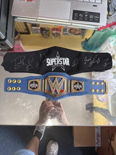 Wwe superstar experience - wwe, mini