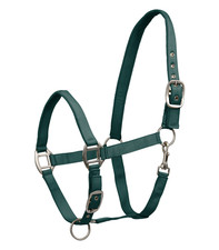 Halfter satin stallhalfter - halfter, satin,